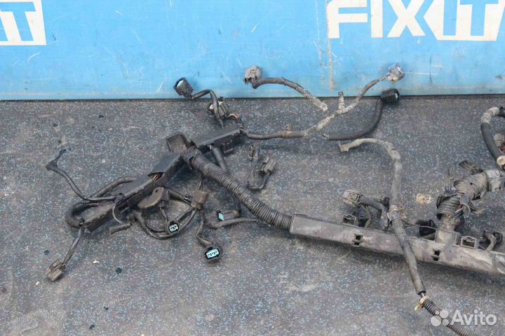 Проводка двс Honda Accord Wagon (Хонда Аккорд Ваго