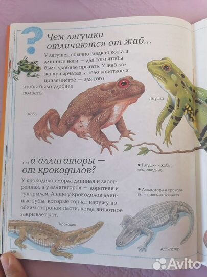 Большая детская энциклопедия