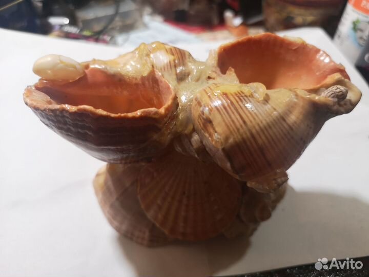 Оригинальная пепельница