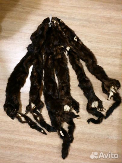 Шкуры норки