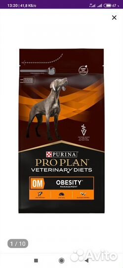 Корм для собак