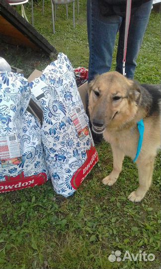 Дуся из Приюта ждёт свою семью