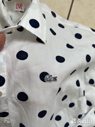 Lacoste, mark spenser