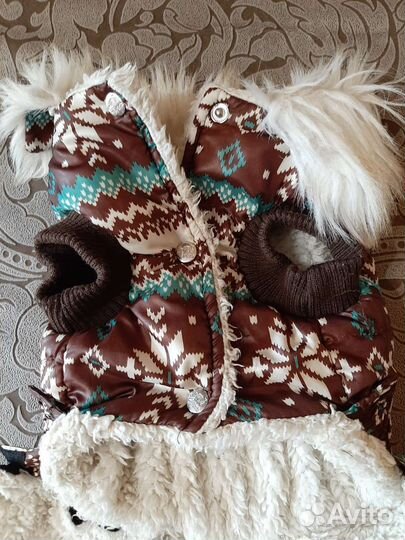 Одежда для собак