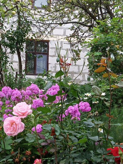 Дом 174 м² на участке 5 сот.