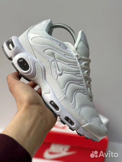 Кроссовки Nike air max tn plus