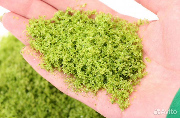 Дополнение к моделям Morrison 001-FR-001