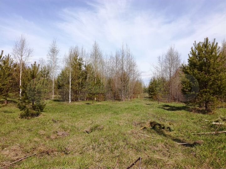 Участок 12,6 сот. (ИЖС)