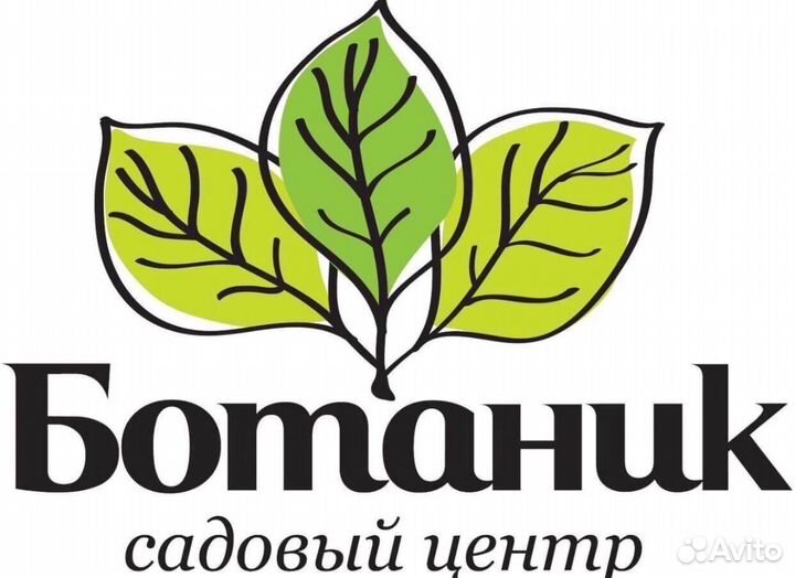 Флорист, менеджер по продажам в отдел флористики