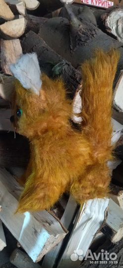 Рыжий кот СССР