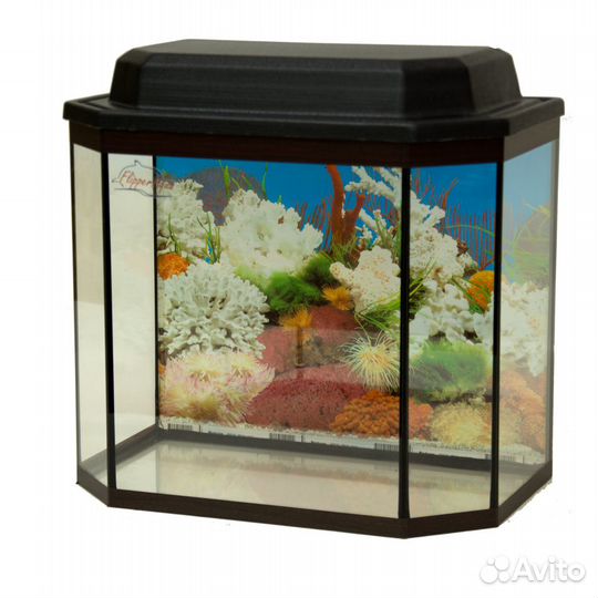 Аквариумы панорамные от 25 литров