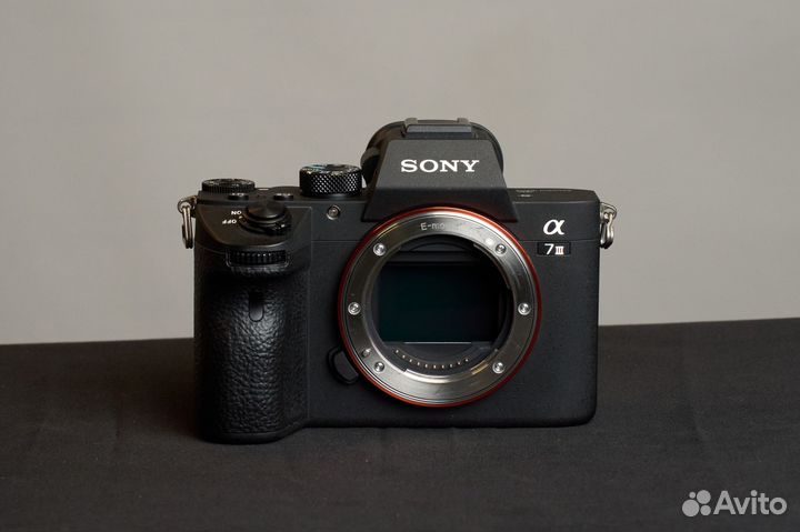 Профессиональная камера Sony A7 III (body)