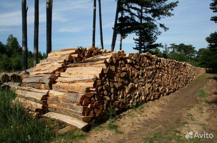 Дрова дуб
