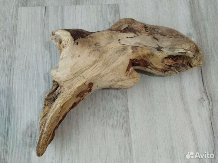 Дрифтвуд коряга морская 28см