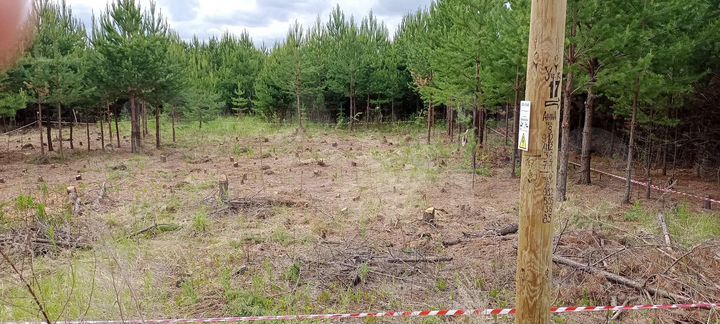 Участок 6 сот. (ИЖС)