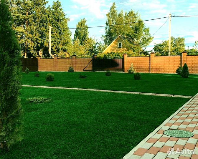 Рулонный газон