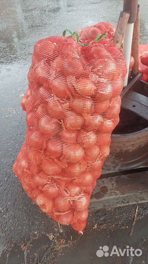 Картошка