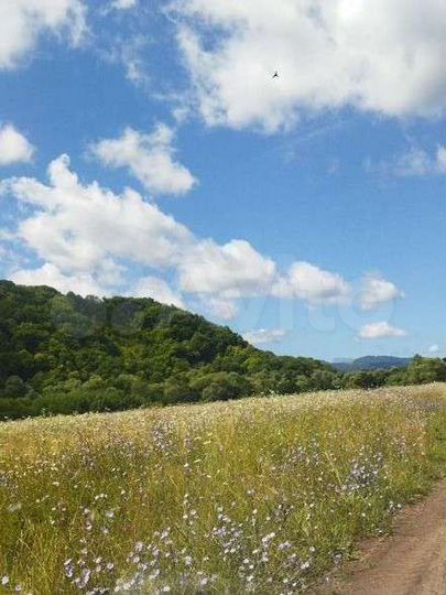 Участок 5,7 га (СНТ, ДНП)