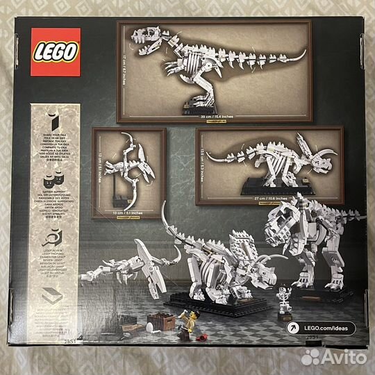 Коробка от Лего Айдиас / Lego Ideas 21320