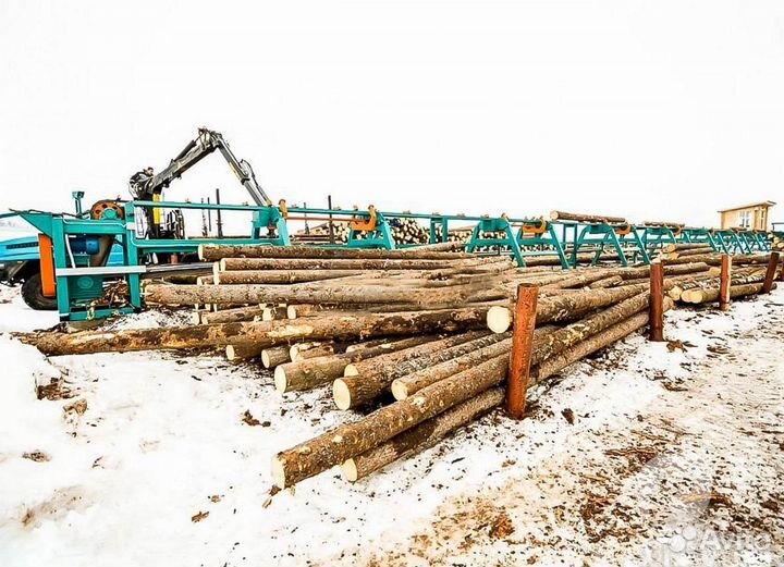 Линия сортировки бревна