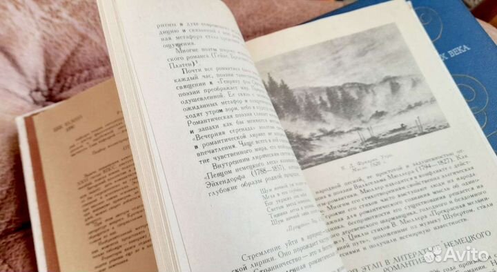 История литературы XIX века