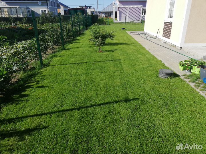 Благоустройство территории