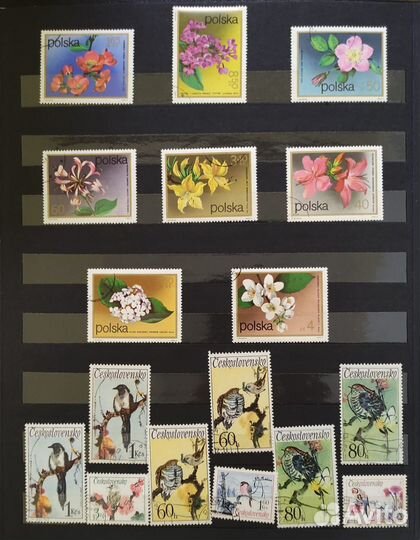 Коллекция марок