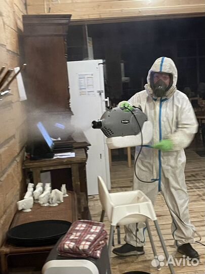 Уничтожение тараканов травля тараканов Дезинфекция