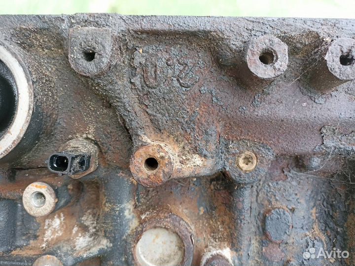 Блок цилиндров Ford Focus 1 универсал 2.0 2002