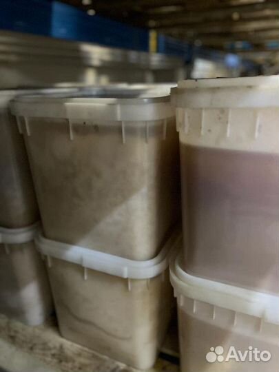 Свежий Майский мед оптом