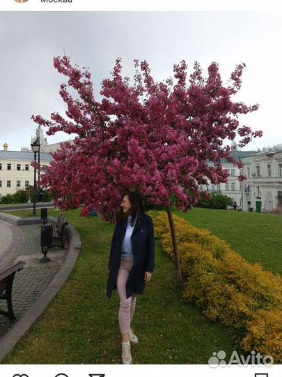 Плащ тренч Reserved женский 44/46