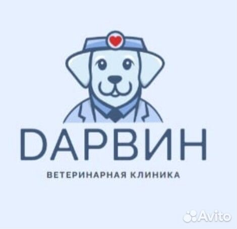 Ветеринарный врач