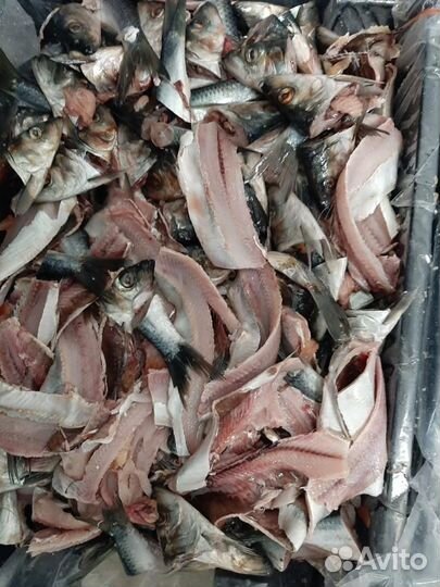 Рыбные отходы (замороженные несоленые)