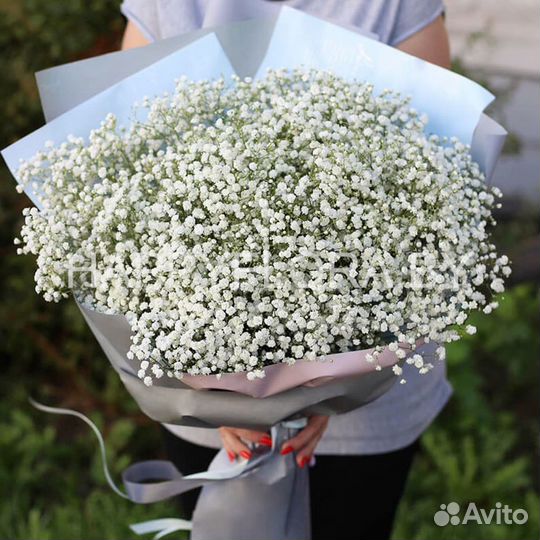 Букеты из гипсофилы