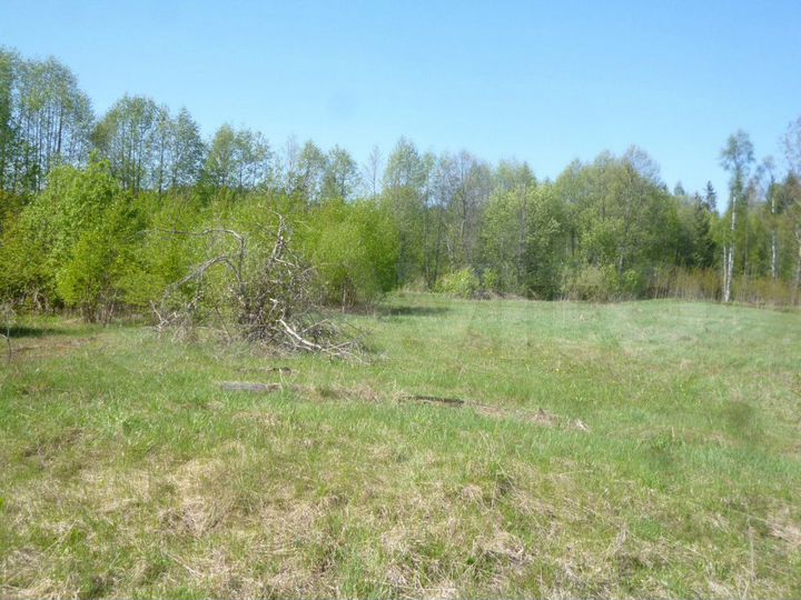 Участок 9 сот. (СНТ, ДНП)