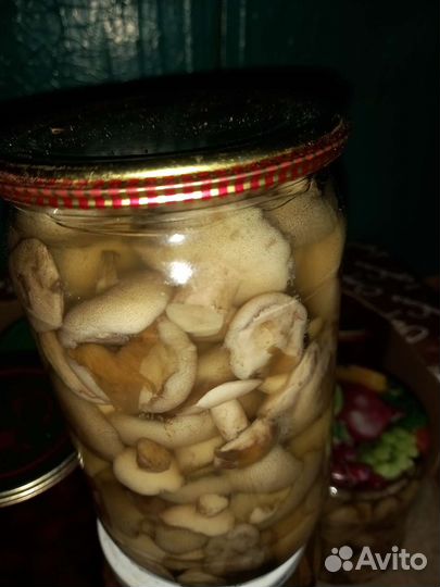 Грибы,маслята и сушёные боровички