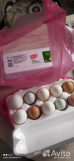 Домашние куриные яйца