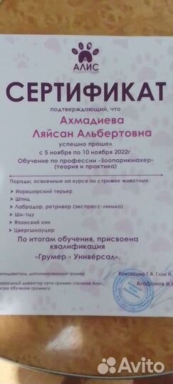 Грумер собак