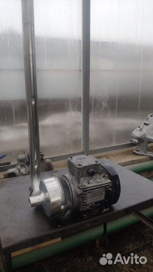 Насос винтовой пищевой