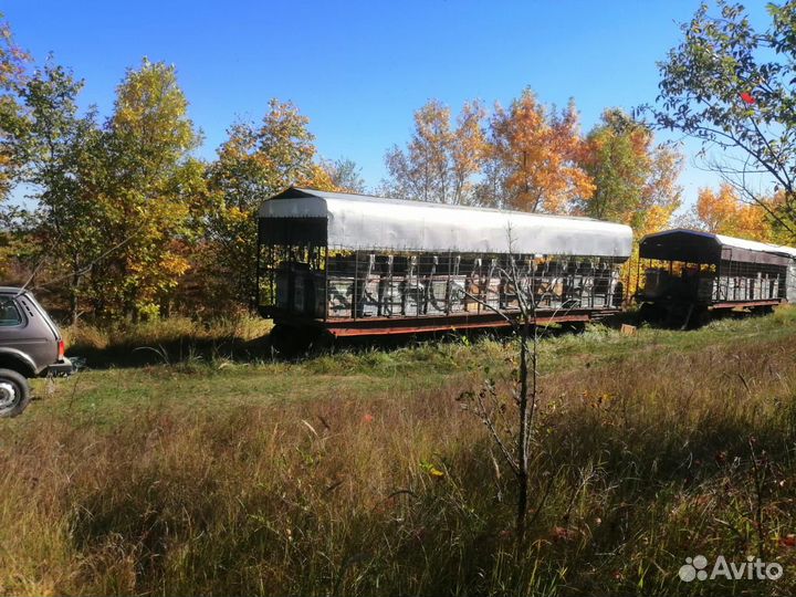 Продается пасека