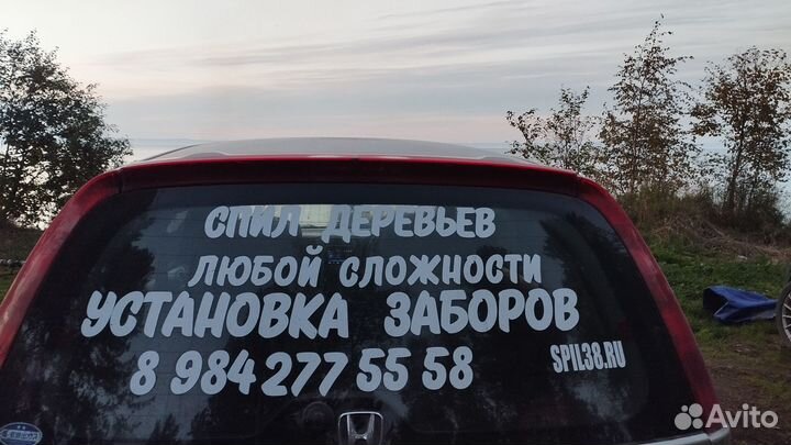 Спил и удаление деревьев любой сложности