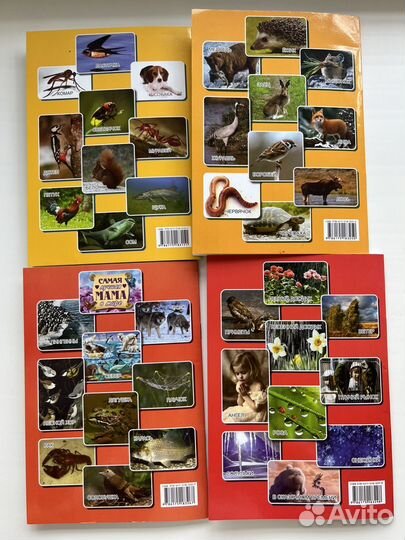 Стихи для детей