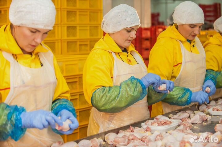 Вахта питание/жилье упаковщики куриных частей