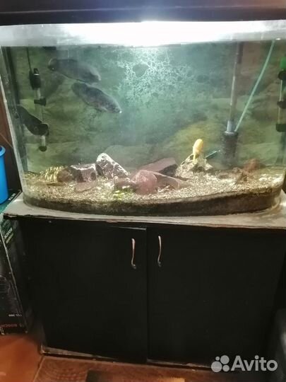 Аквариум с тумбой бу