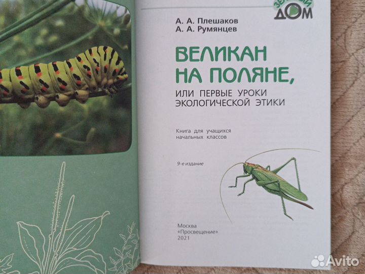 Великан на поляне А.А.Плешаков,А.А.Румянцев