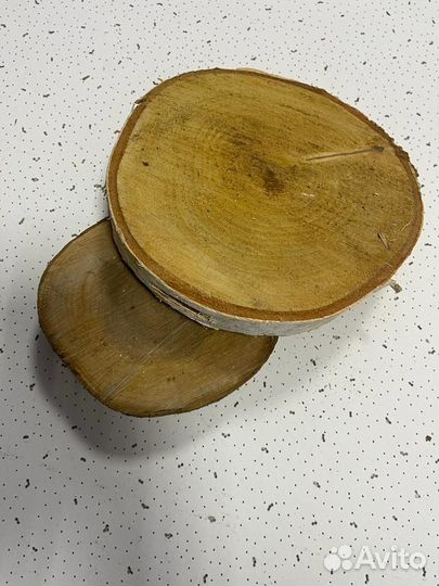 Спилы и срезы деревьев