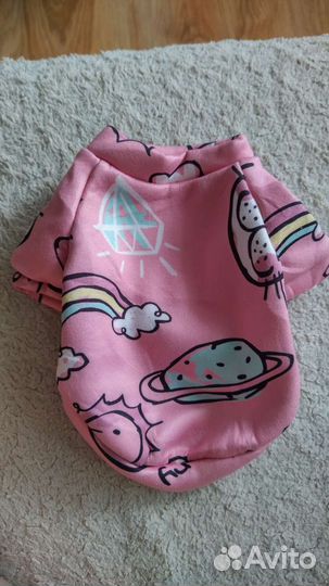 Свитшот для щенка мелких пород