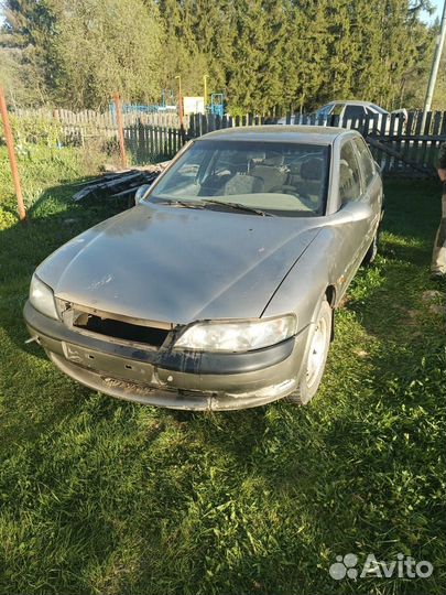 Opel vectra б