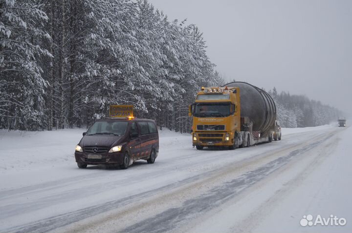 Услуги перевозок тралом / негабаритные перевозки