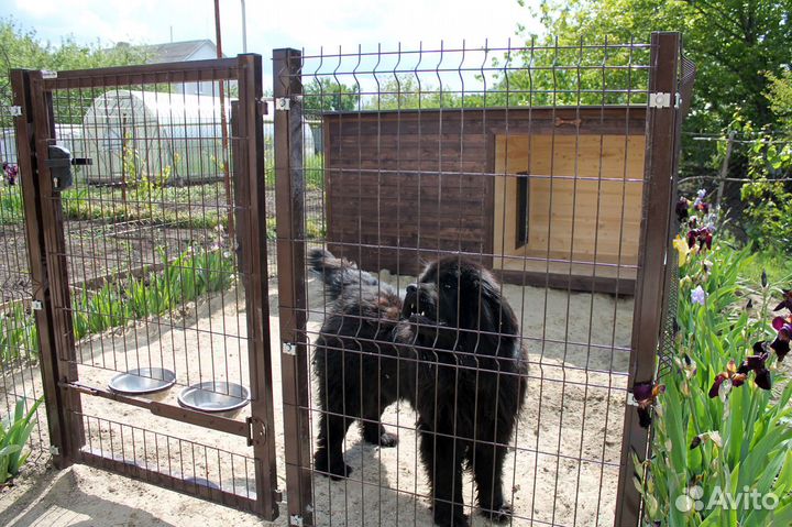 Будка для собаки, кошкин дом (в наличии, на заказ)